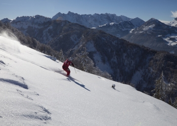 Skifahren Tirol